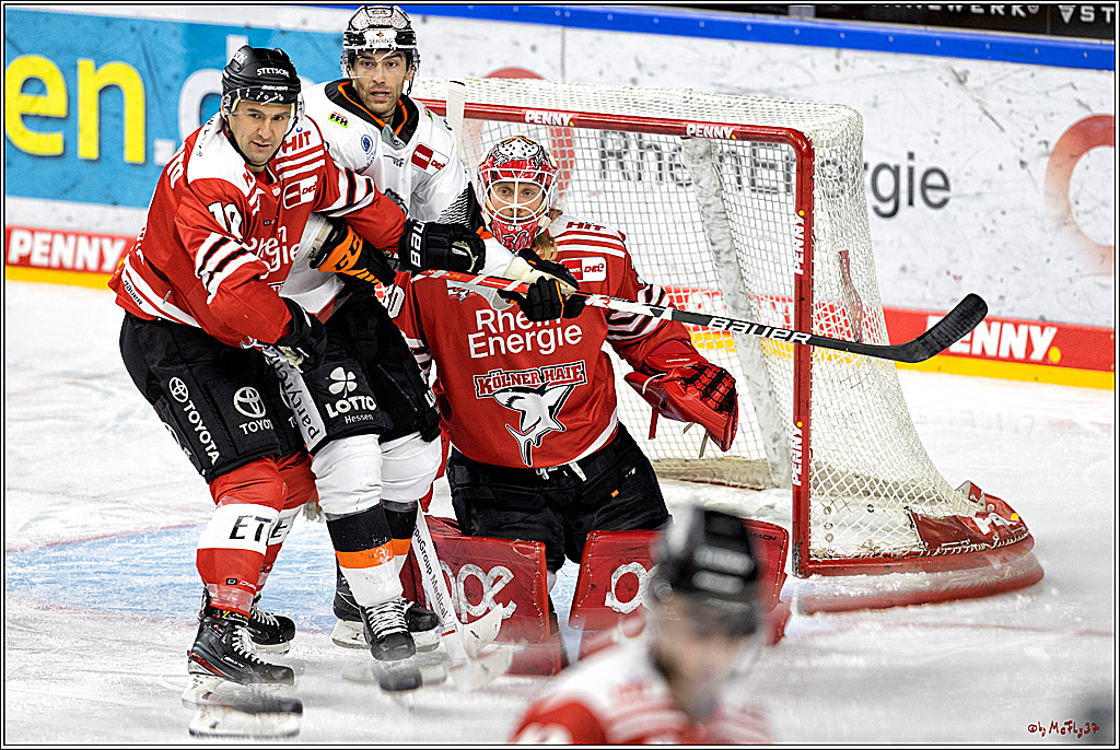 PENNY DEL;  Kölner Haie - Löwen Frankfurt; Köln, 01.12.2022